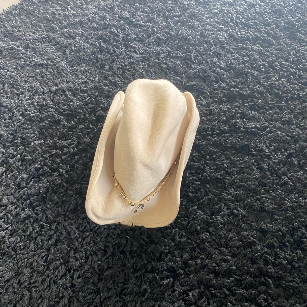 Rodeo King cowboy hat 🤠